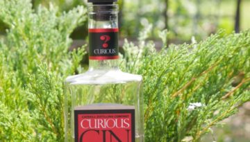 Curious Gin